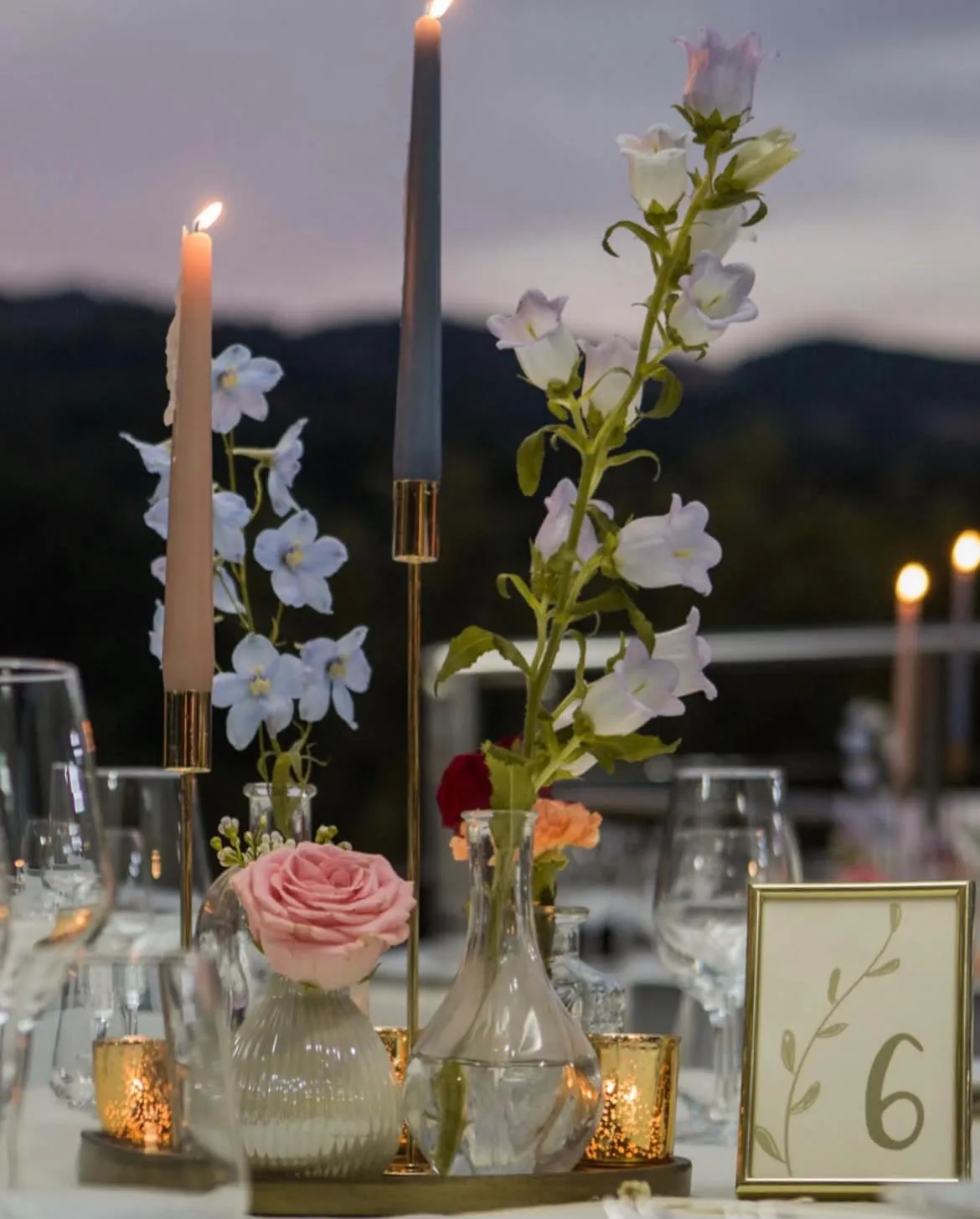 Invitati che ballano sul prato durante l'evento
